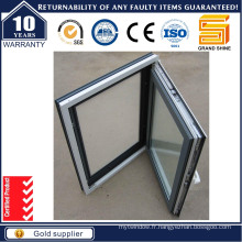 Fenêtre en alliage d&#39;aluminium en alliage